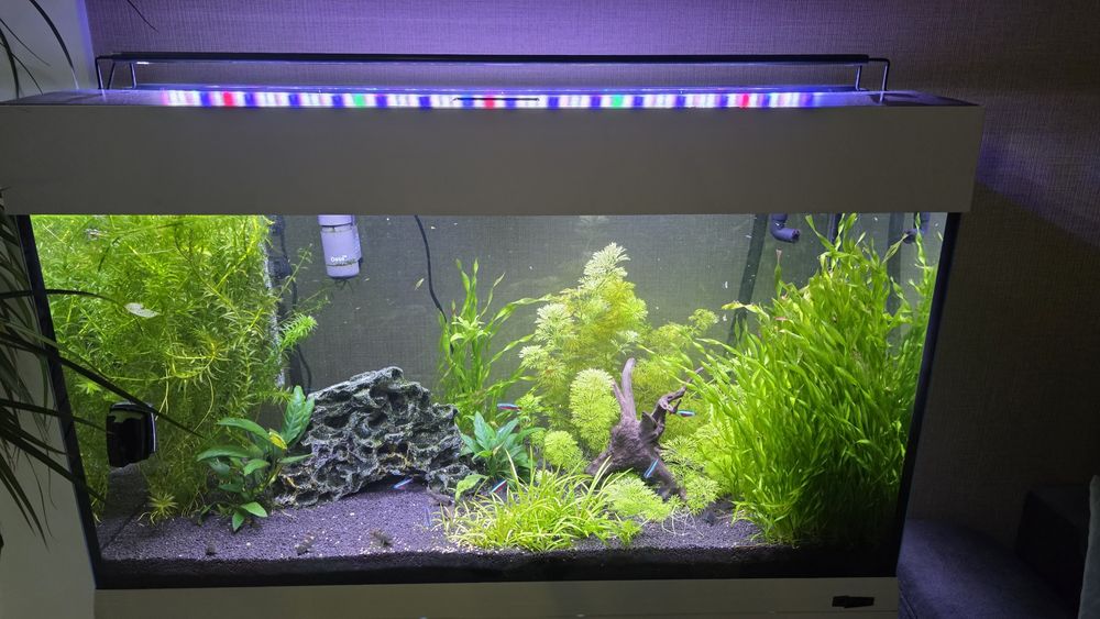 Аквариум Ferplast 125l комплект