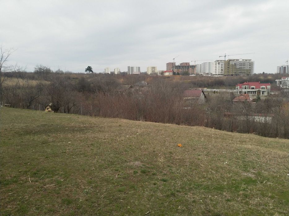 Teren proprietar Copou Iasi