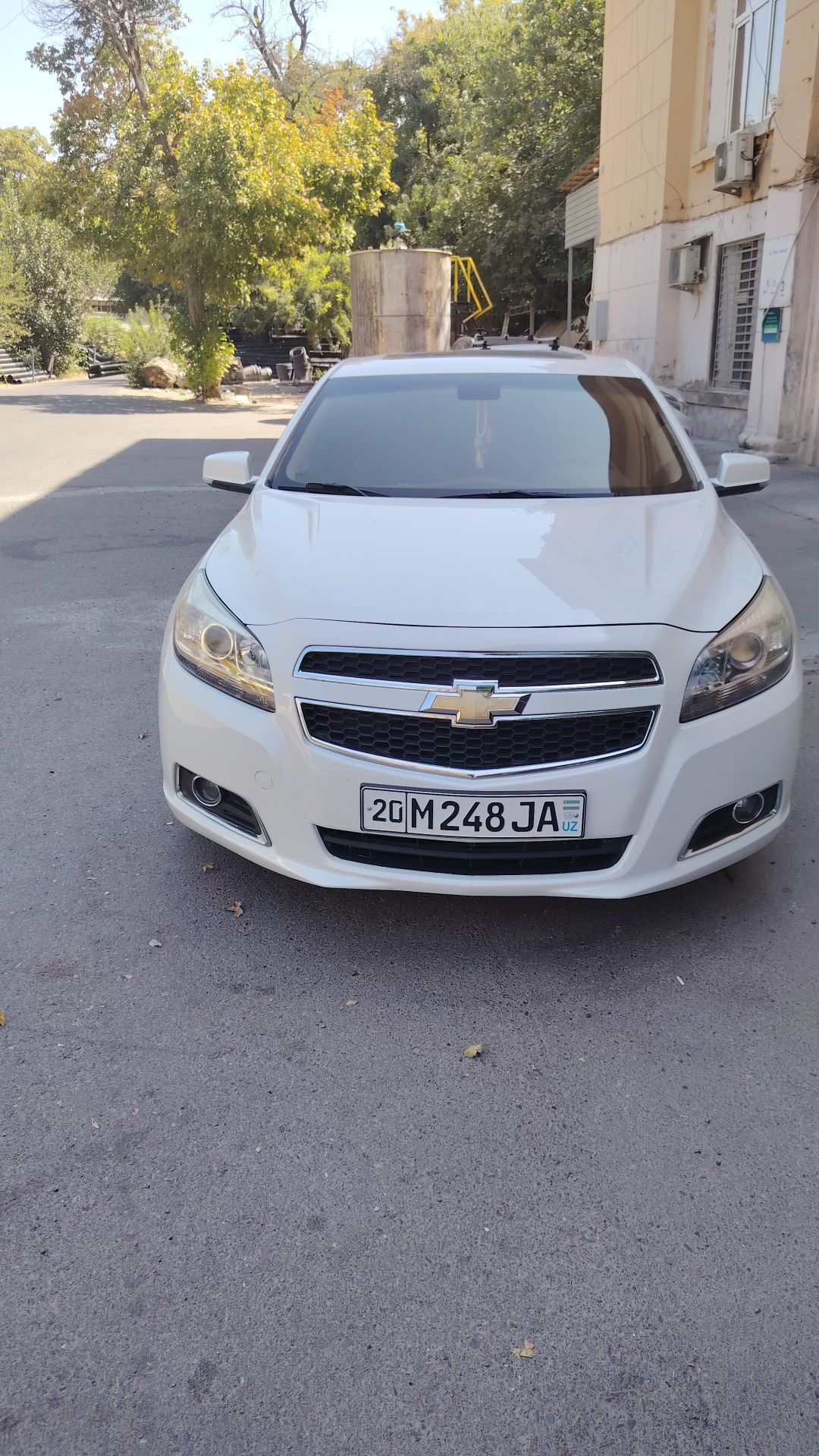 Malibu 1 3pozichiya