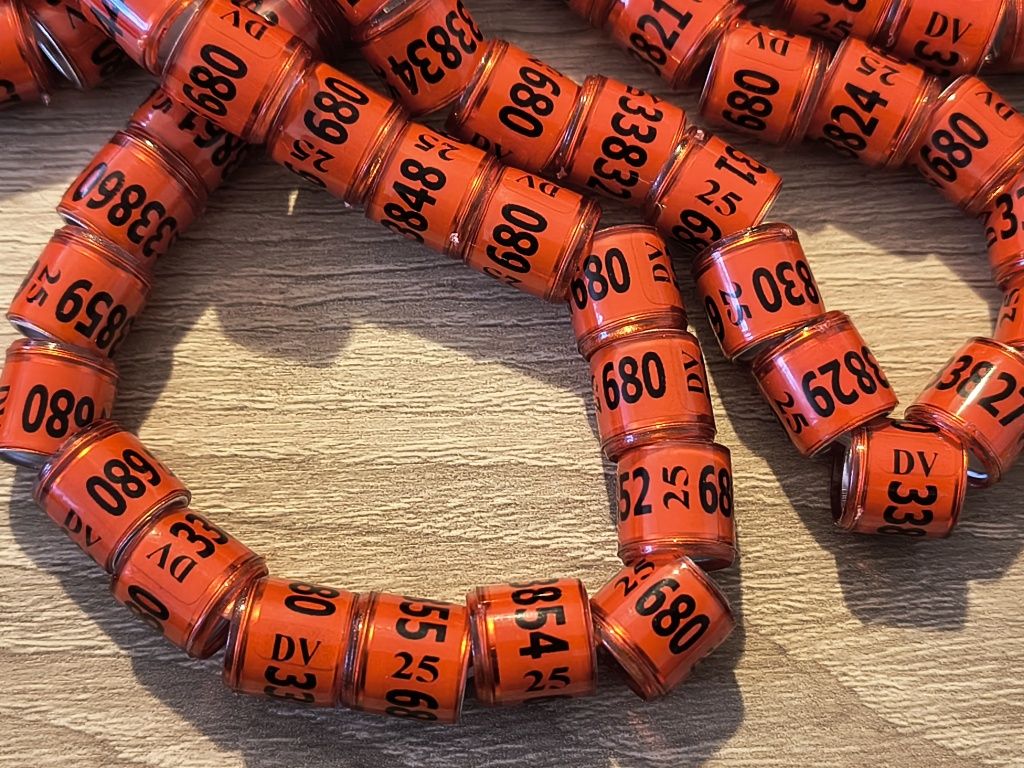 Lot 50 inele porumbei sau gaini 2025