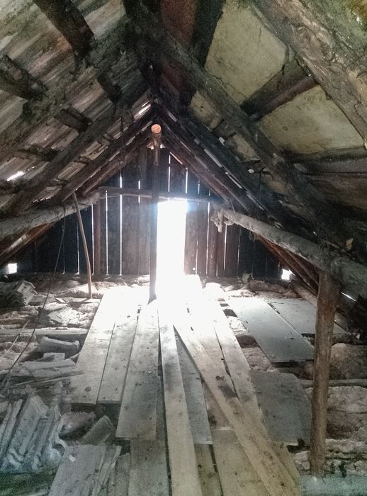 Car moloz debarasez mobila reparatii etc