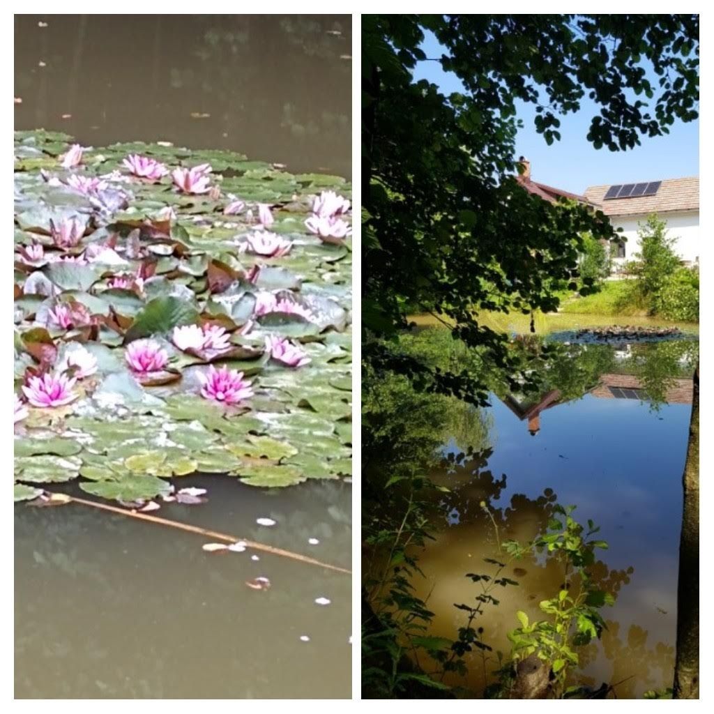 Casă de vacanță cu ciubăr (liber în perioada 03-06 mai)