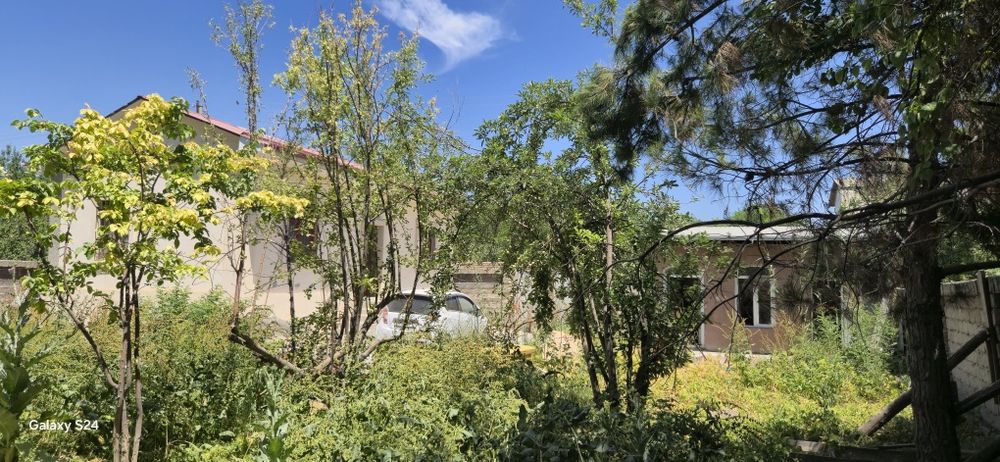 Ферма учун ёки ердан фойдаланиш учун дала ховли атрофи уралган