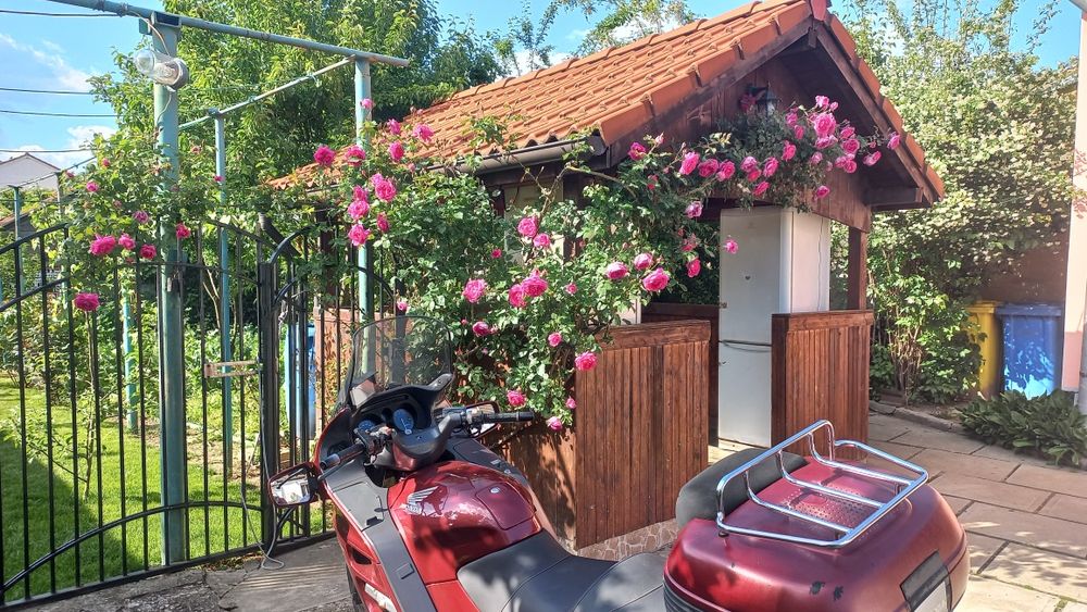 Honda Paneuropean 1100