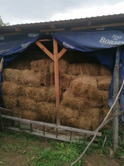 Vand baloți de fân si baloți otravă
