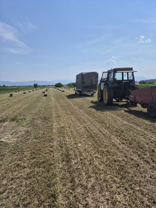 Vand baloti de Lucerna fan productie 2025 transport la domicilu