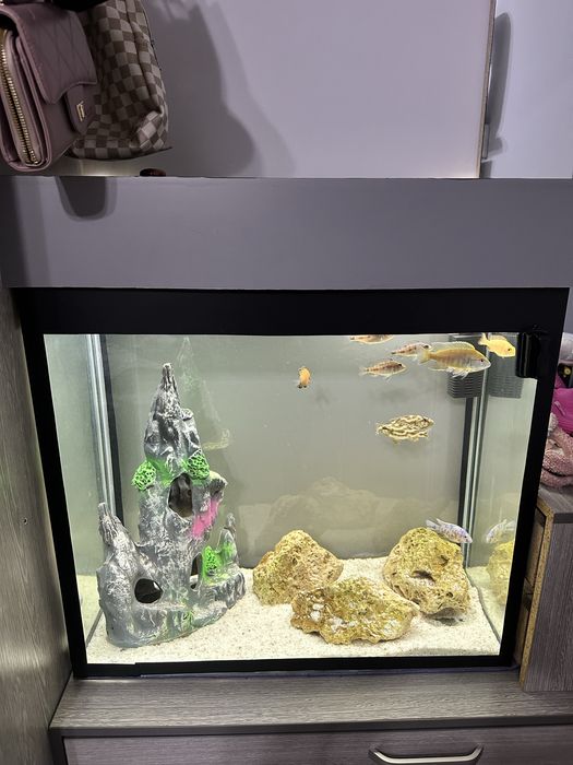 Аквариум 150 литров с крышкой .