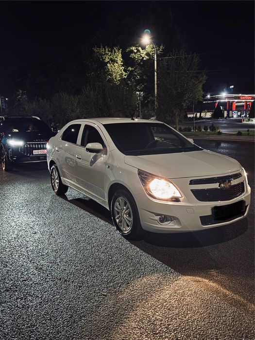 Cobalt 4paz 2022 tozza