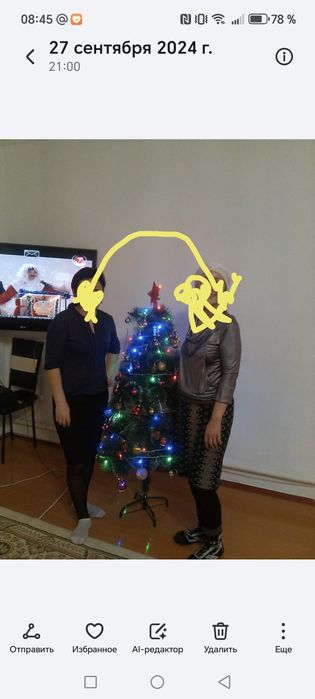 Жаңа жылдық Шырша сатылады