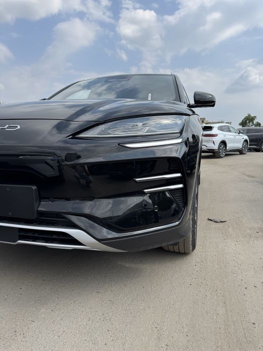 Byd champion smart 2025/2025