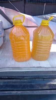 мед натуральный с пасеки