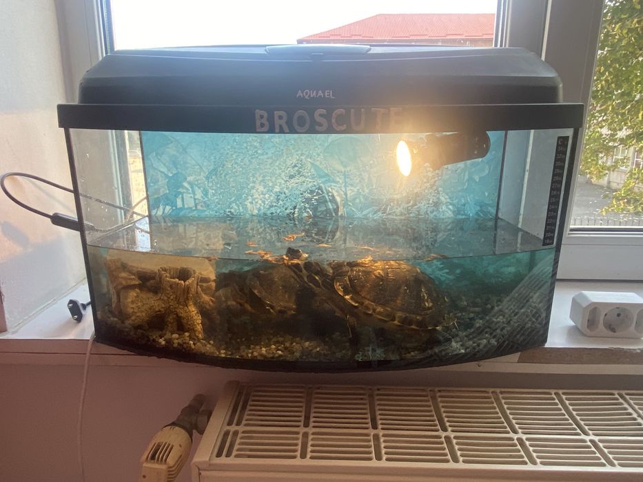 Acvariu AQUAEL pentru pesti, 60/210/300