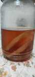 Vand ciuperca Kombucha