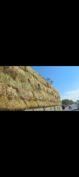 Продам сено разнотравье