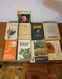 Книги Комнатные растения и садоводство