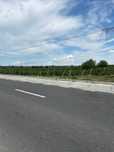 Teren Vartescoiu Zona Rotaresti