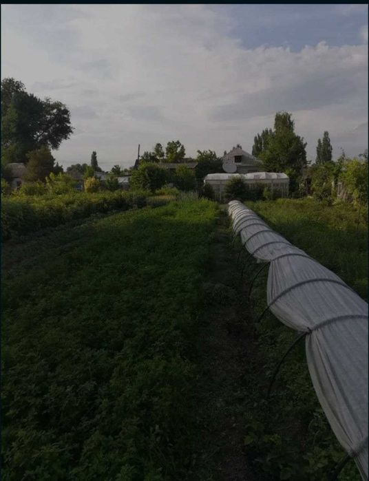 Продается дом  на 16 сотках
