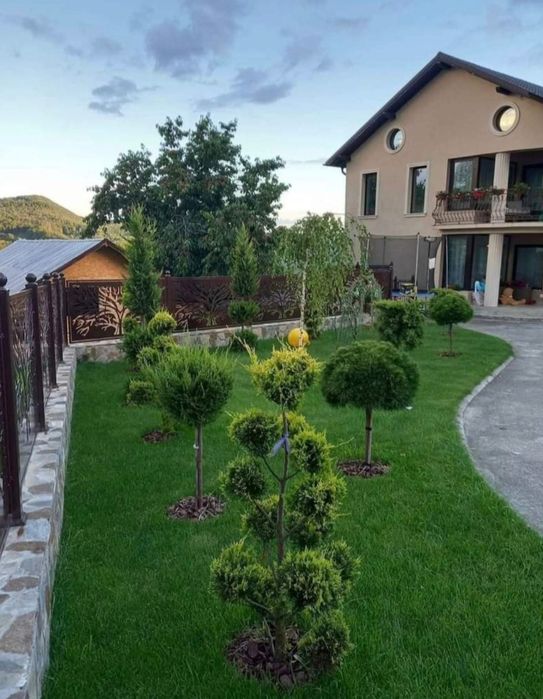 Gazon rulou, piatra decorativa/scoarța, Amnajam spații verzi etc