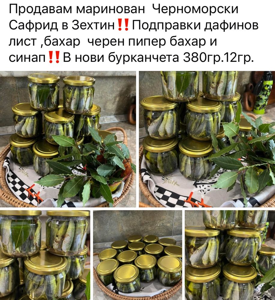 Продавам  черноморски Паламуд 17лв Сафрид