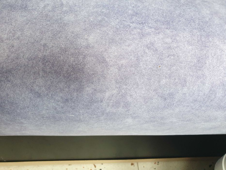 Canapea bleumarin pet friendly