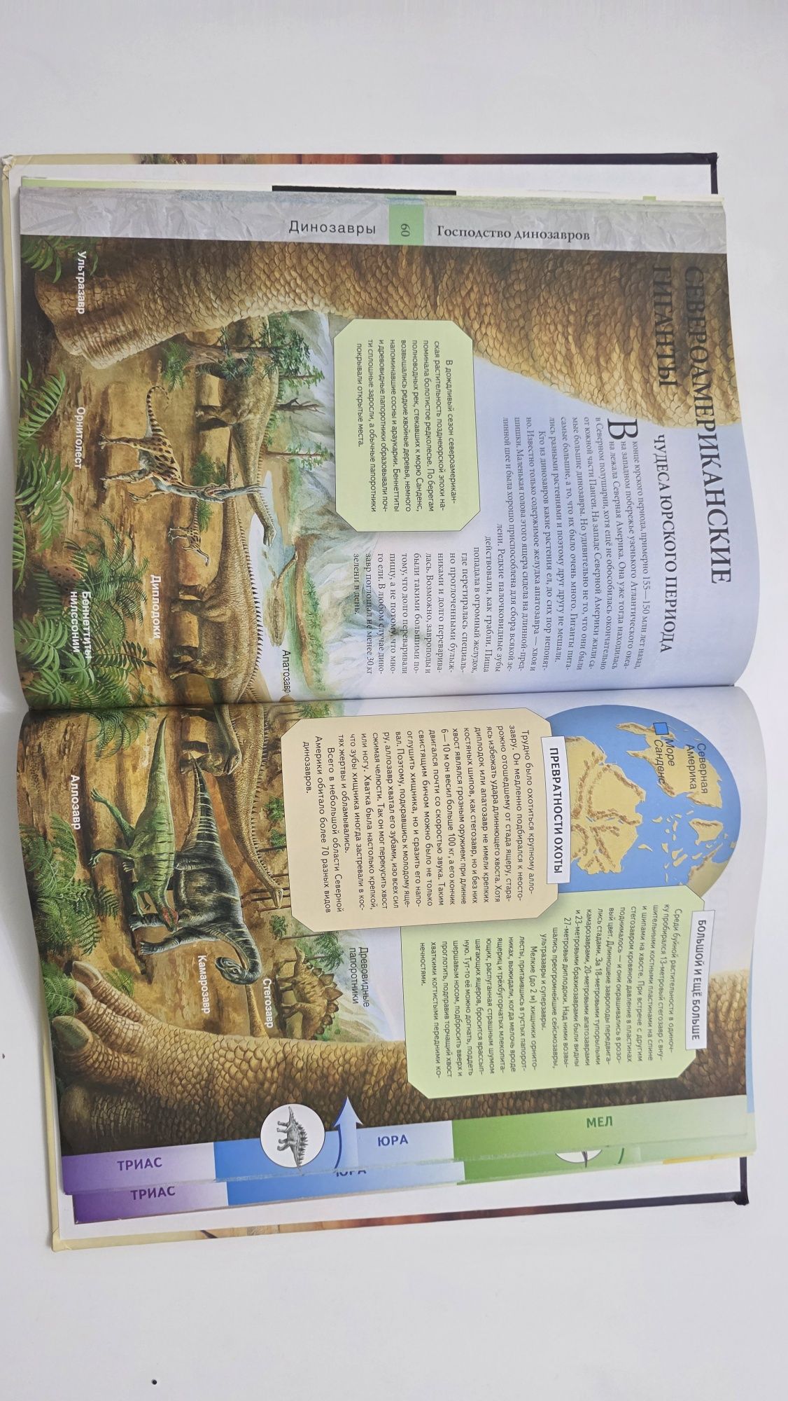 Энциклопедия Динозавры

ДИНОЗАВРЫ