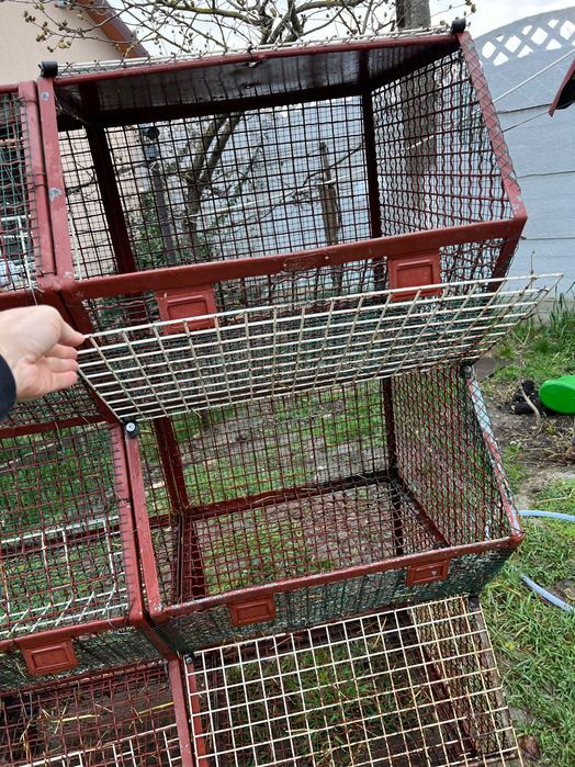 Cușcă Iepuri din fier