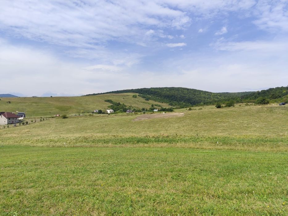Teren construibil intravilan 5.000 mp - Piatra Neamț
