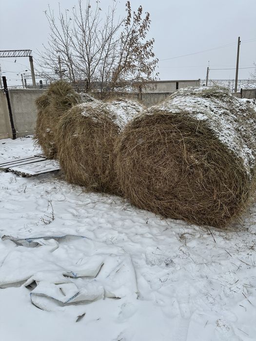 Сено луговое в рулонах этого года , в городе
