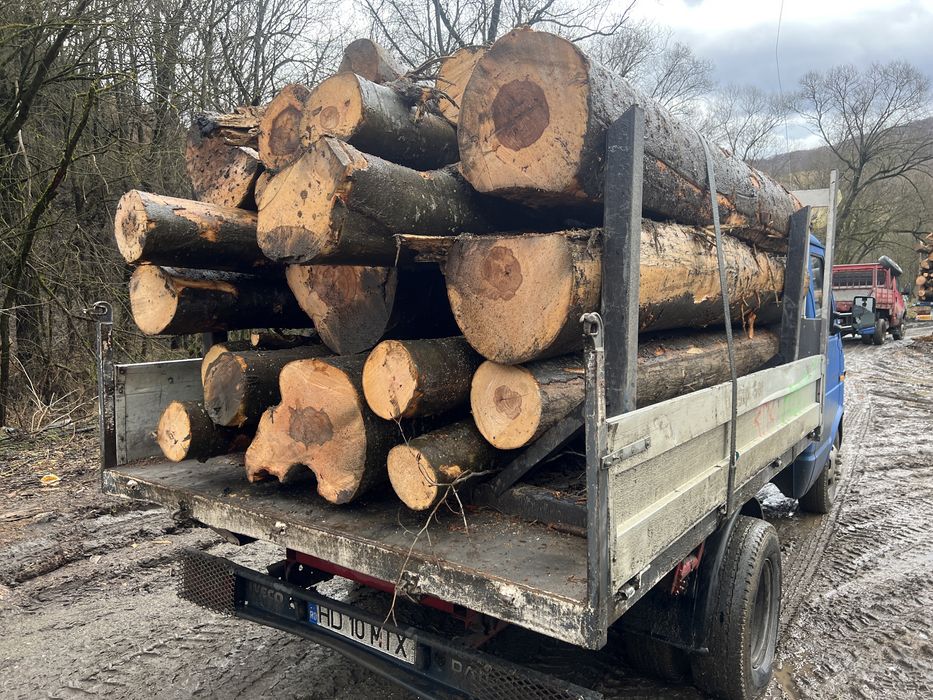 Lemn de foc  DOAR FAG 3,6 cub