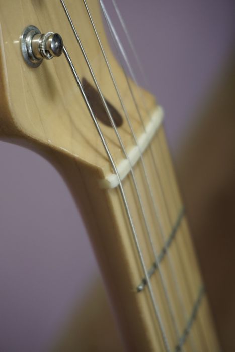 Chitară electrică Fender MIJ Telecaster Blue Floral