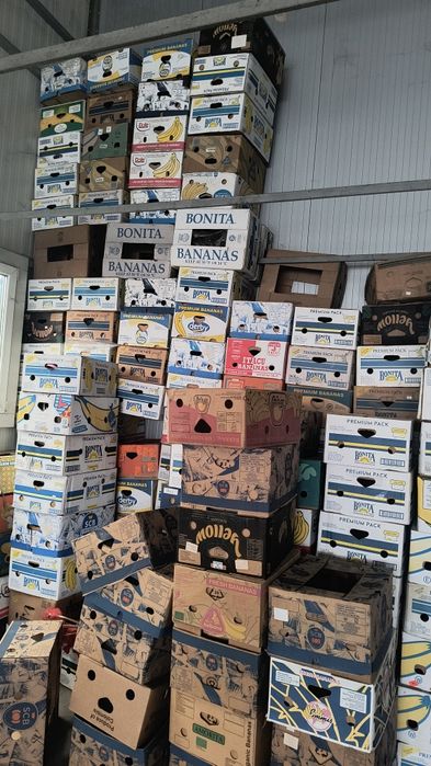 Baxuri banane fructe legume