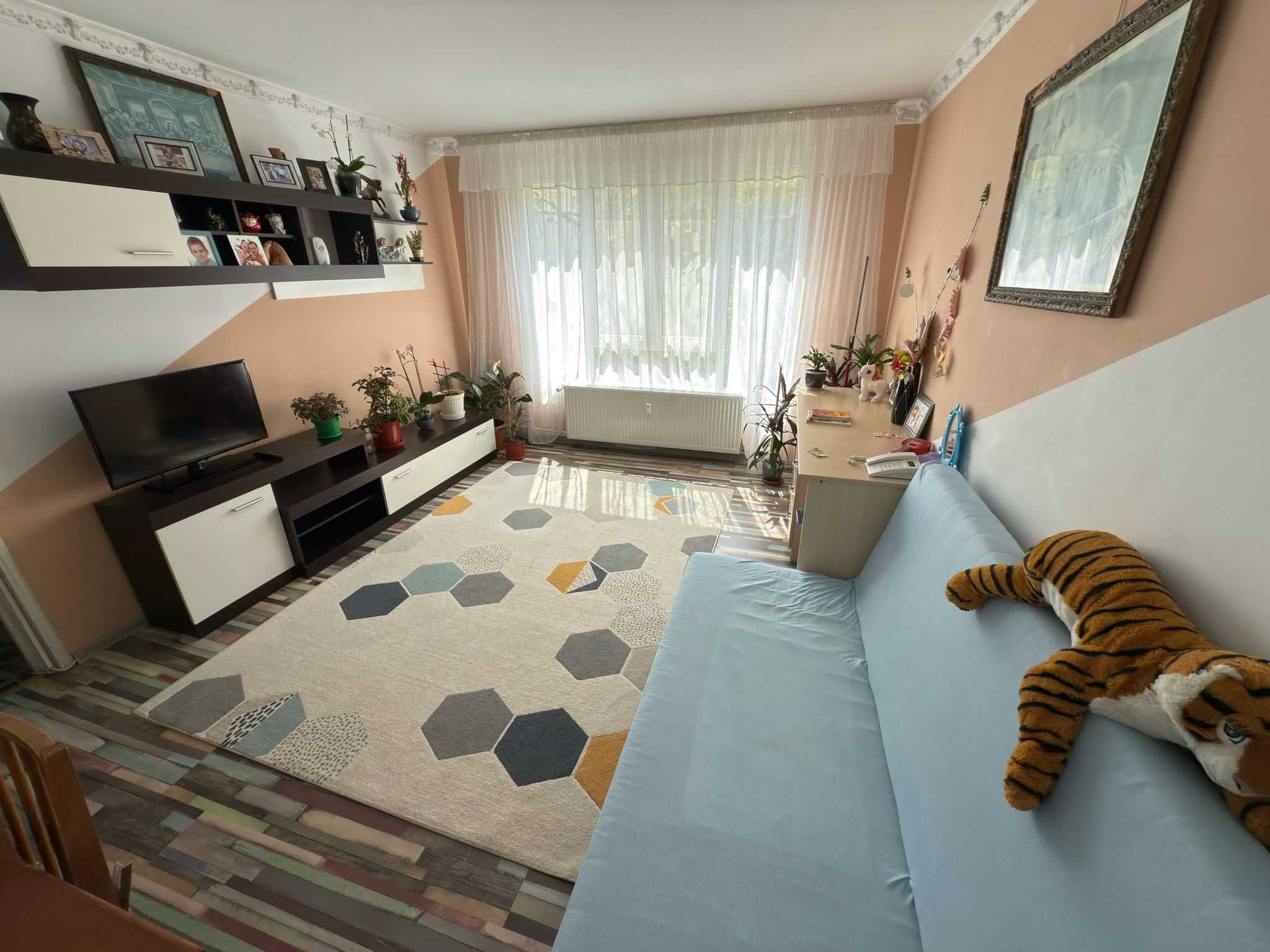 Apartament 4 camere, Ozana, etajul 1, doua bai, boxa in acte