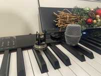 Shure 87A капсула глава