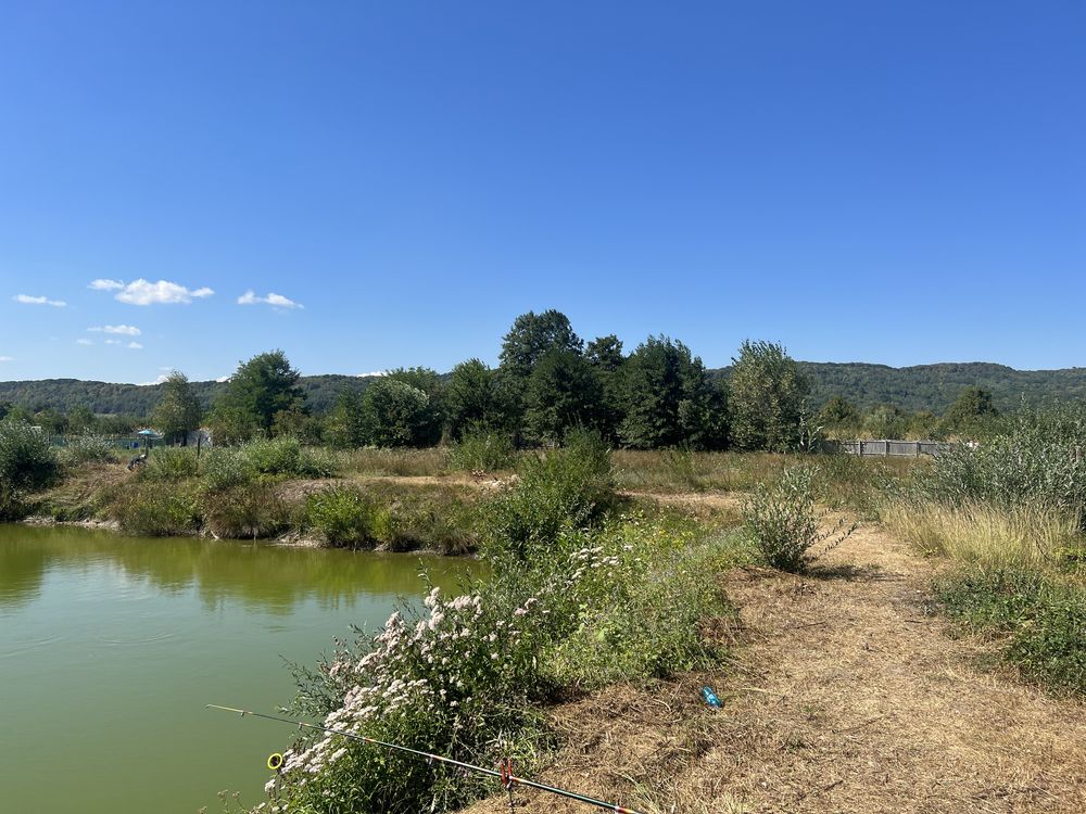 Vand lac de peste in comuna Stilpeni, jud arges