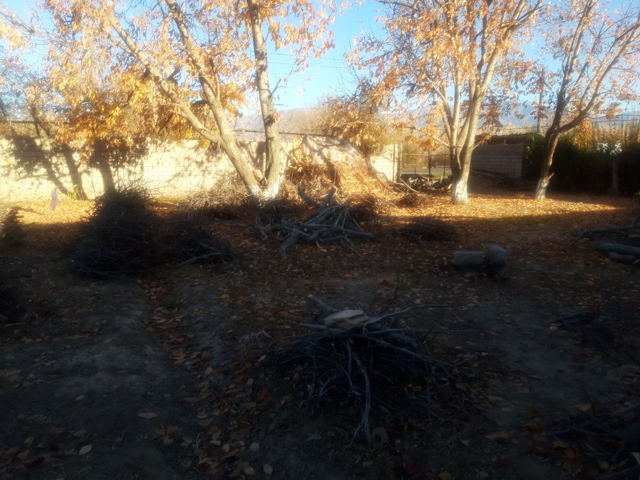 Yonğoq otin sotiladi