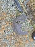 Aparatoare noroi dreapta spate Audi A6 C8 4K0810172F