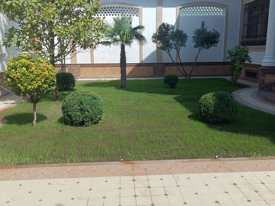 Bogʻbonchilik hizmati