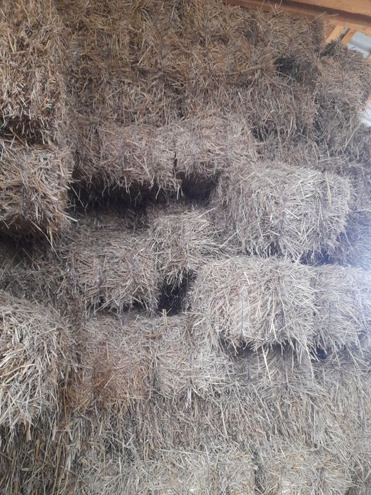 Vand baloti paie de grau