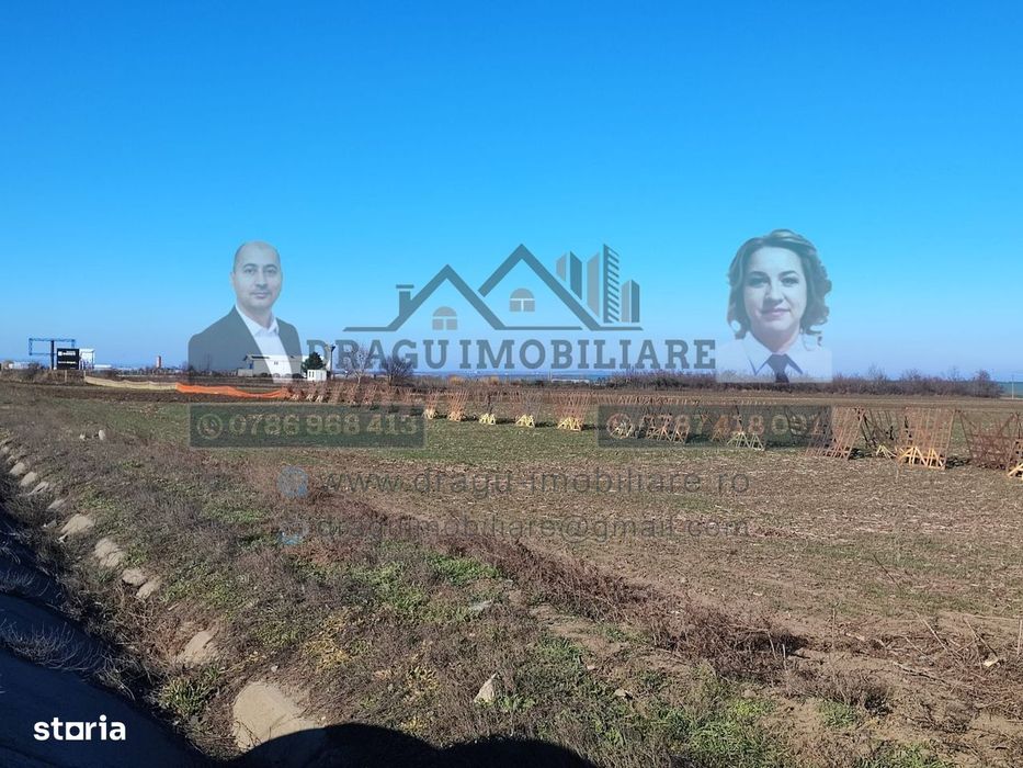 Teren 5000 mp, ieșire din Tecuci, după Peco Gălbenuș