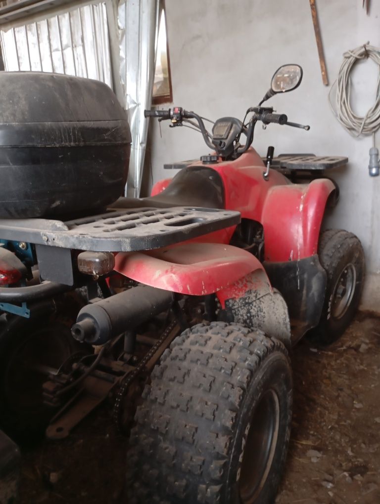 Vând sau schimb un manz de doi ani și un ATV schimb cu armaxar, iapă