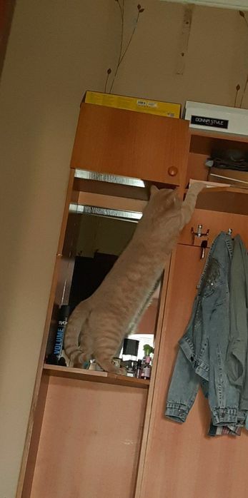 Продаётся шкаф в прихожую