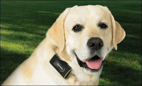 Уникално GPS Устройство за проследяване на Кучета (GPS за кучета)