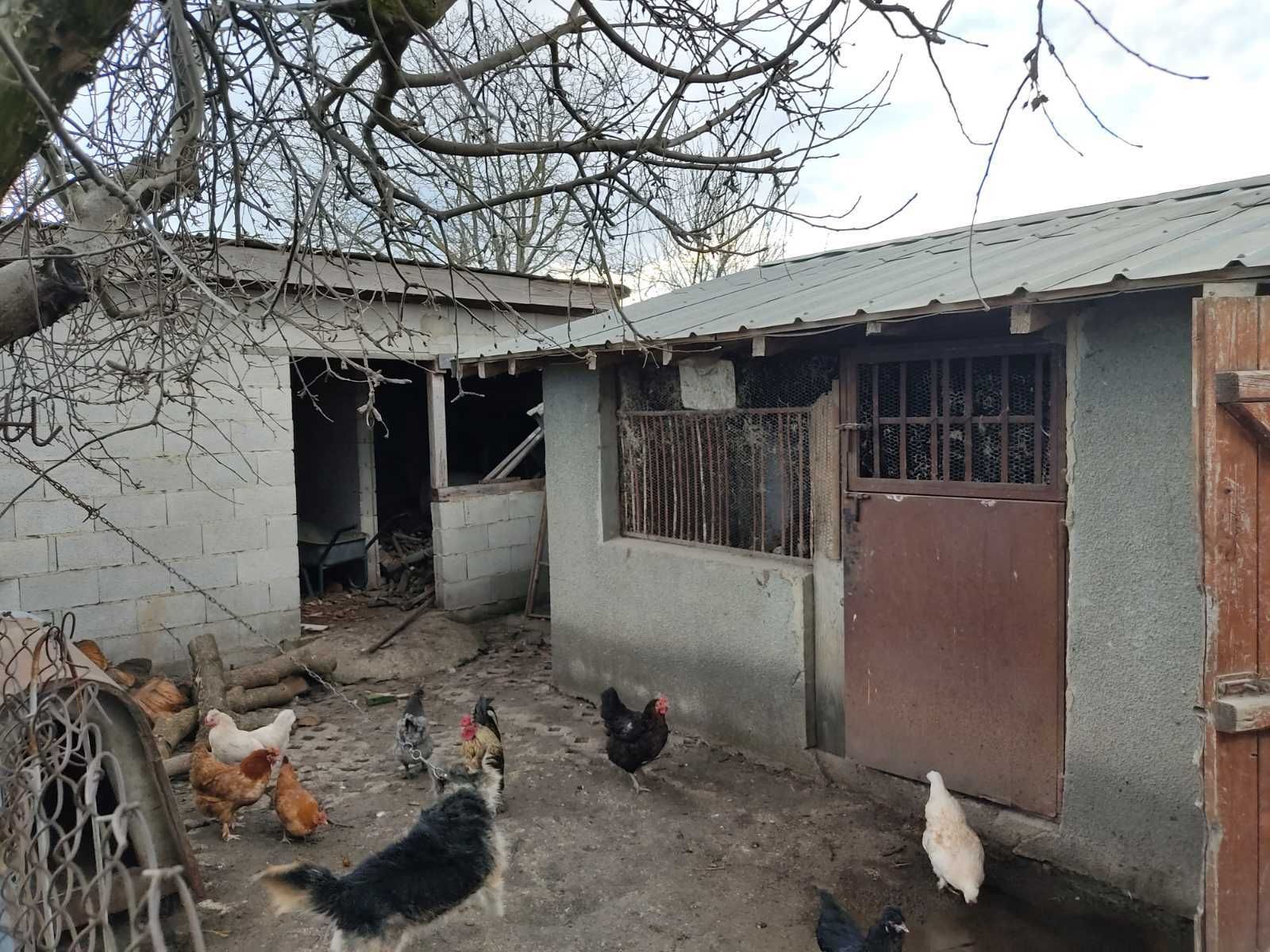 Реновирана къща в Кардам
