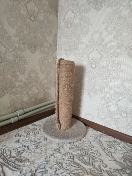 Когтеточка в хорошем состоянии