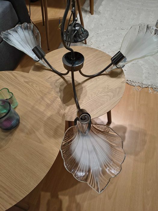 Запазен полилей.