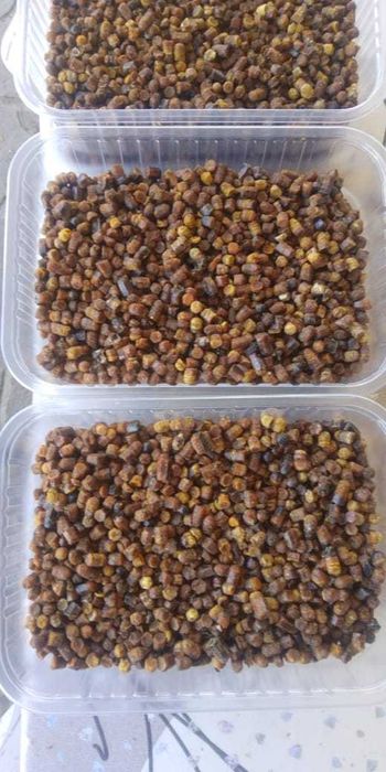 Продам пергу пчелинную