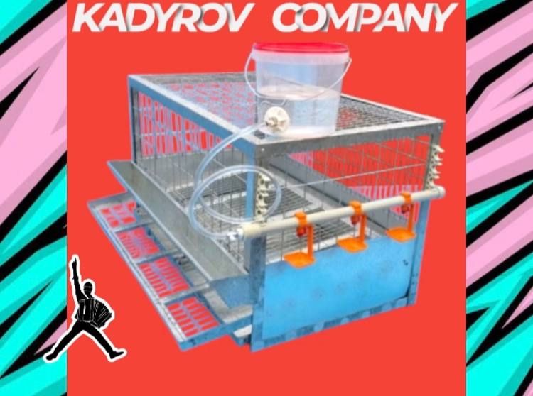 Клетки для несушек: сделайте их жизнь комфортной!