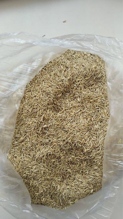 Семена житняка, суданки, донник, эспарцет