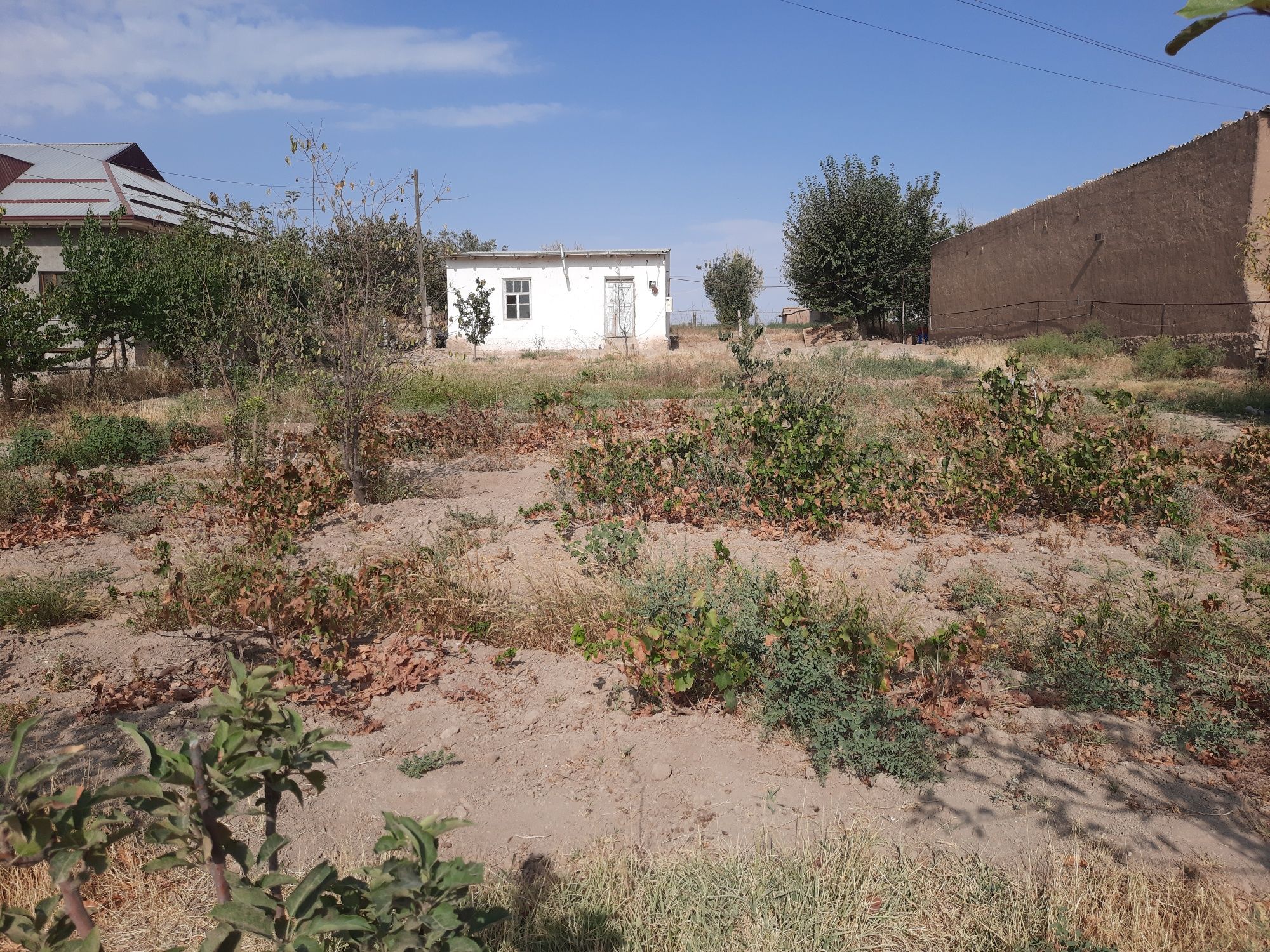 Dacha sotiladi. Forish tumani. Xonbandi shaharchasi. Bodomzor mahalla