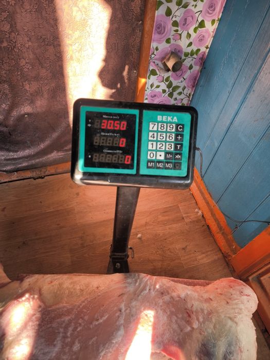 Продам мЯсо баранины 3200 за кг полностью тушой частями не продаю